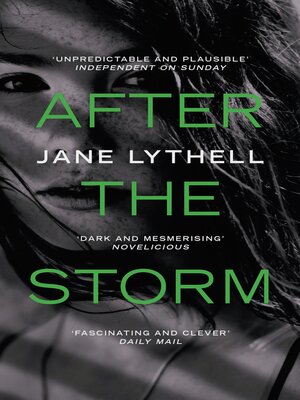 After the Storm - ebook